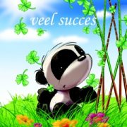 pandaveel-succes